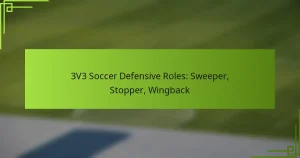 3V3 Soccer Defensive Roles: Sweeper, Stopper, Wingback
